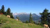 Tennengebirge