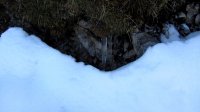 ..die ersten Eiszapfen..