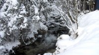 ..winterliche Idylle..