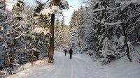 ..unterwegs in Richtung Rinnbergalm..