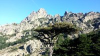 ..am Col de Bavella (Bavellapass)..