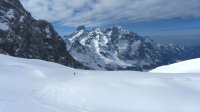 ..im Hintergrund der Gosaukamm..