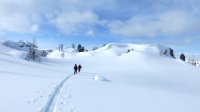 ..unterwegs auf den Scheibenkogel..