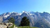 ..beim Aufstieg nach dem Lärchenwald mit Blick auf Dom und Täschhorn..