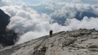 ..der Nebel verfolgte uns wirklich den ganzen Aufstieg..