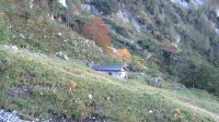..Wandalm..