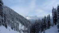 ..beim Aufstieg, blick auf den Gosaukamm..