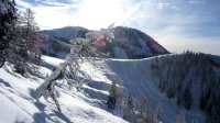 ..beim Aufstieg..Blick auf den Bischling..