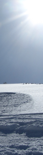 Pic8.jpg